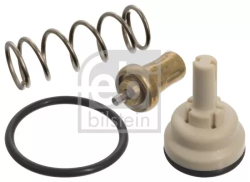 1x Thermostat, coolant