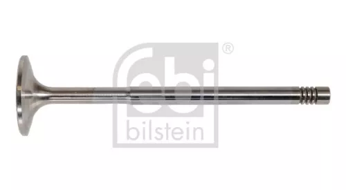 1x Intake Valve