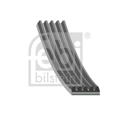 1x V-Ribbed Belt