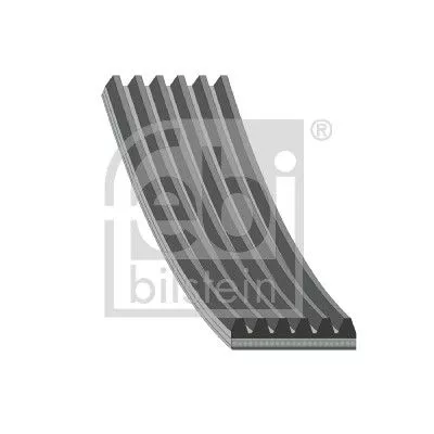 FEBI BILSTEIN 1x V-Ribbed Belt (176701)