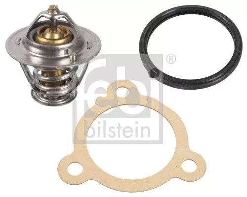 1x Thermostat, coolant