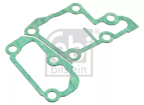 1x Gasket, thermostat housing