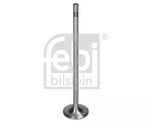 1x Intake Valve