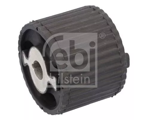 FEBI BILSTEIN 1x Mounting, differential (182581)