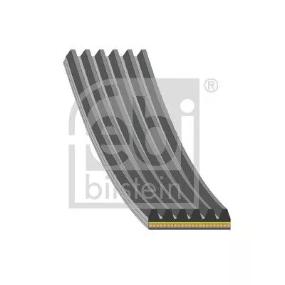 1x V-Ribbed Belt