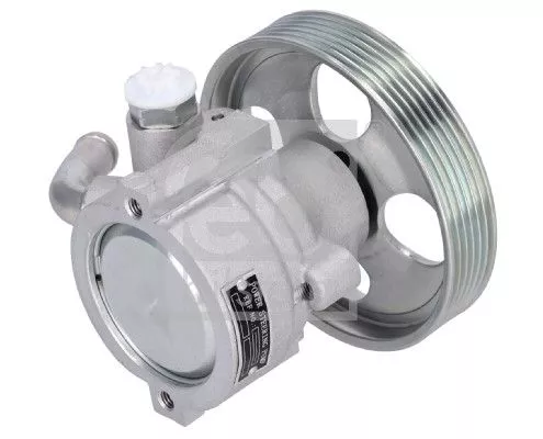 FEBI BILSTEIN 1x Hydraulic Pump, steering (186248)