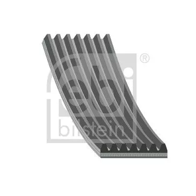 1x V-Ribbed Belt