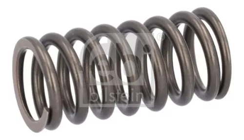 FEBI BILSTEIN 1x Valve Spring (187734)