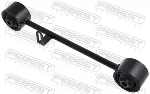 FEBEST Control/Trailing Arm, wheel suspension (0125-LC120U1)
