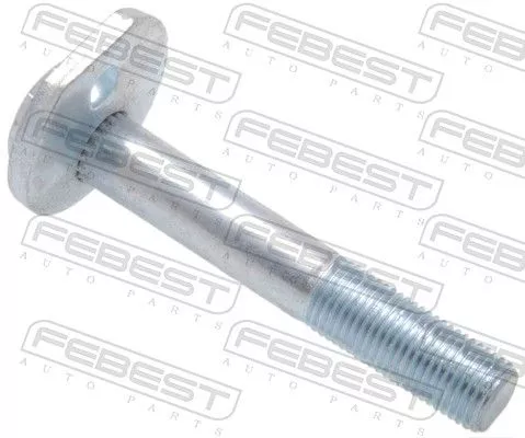 Camber Correction Screw