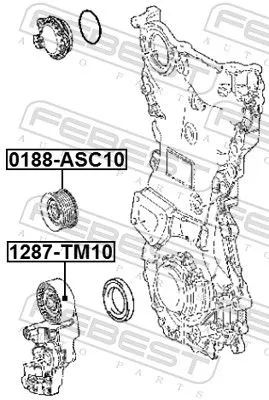 FEBEST Deflection/Guide Pulley, V-ribbed belt (0188-ASC10)