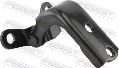 FEBEST Door Hinge (0199-HDVDJ200RLL)