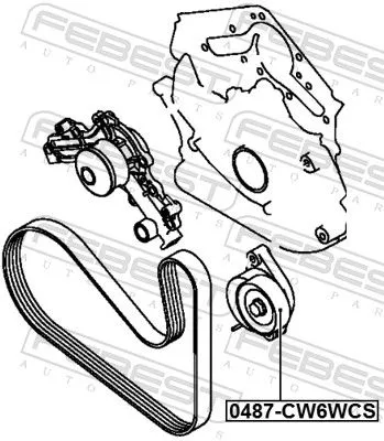 FEBEST Tensioner Pulley, V-ribbed belt (0487-CW6WCS)