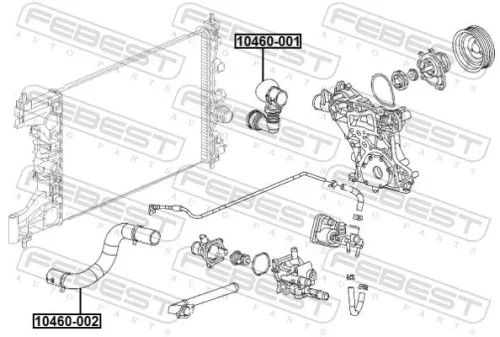 FEBEST Radiator Hose (10460-001)
