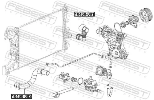 FEBEST Radiator Hose (10460-002)