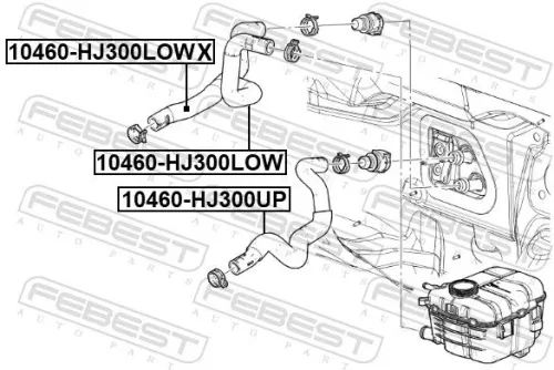 FEBEST Radiator Hose (10460-HJ300LOWX)