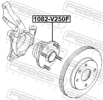 FEBEST Wheel Hub (1082-V250F)