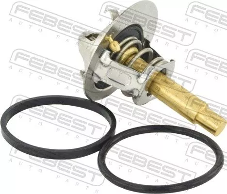 FEBEST Thermostat, coolant (16462-006)