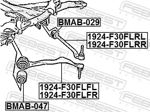 FEBEST Control/Trailing Arm, wheel suspension (1924-F30FLRR)