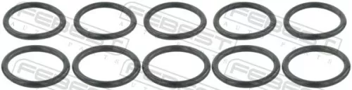 FEBEST Gasket, coolant flange (RINGWH-020-PCS10)