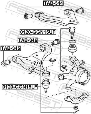 FEBEST Mounting, control/trailing arm (TAB-346)