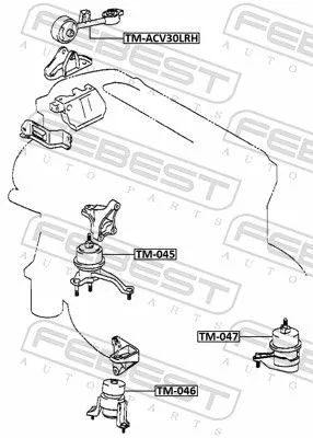 FEBEST Mounting, engine (TM-047)