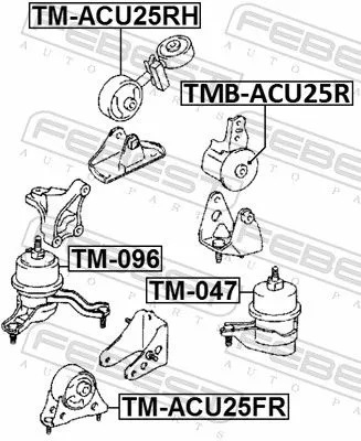 FEBEST Mounting, engine (TMB-ACU25R)