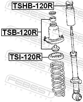 FEBEST Dust Cover Kit, shock absorber (TSHB-120R)