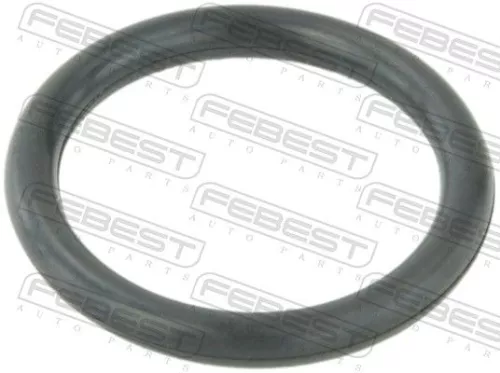 Gasket, coolant flange