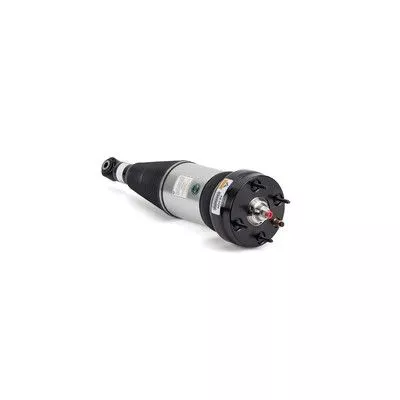 Arnott Air Suspension Strut (AS-3234)
