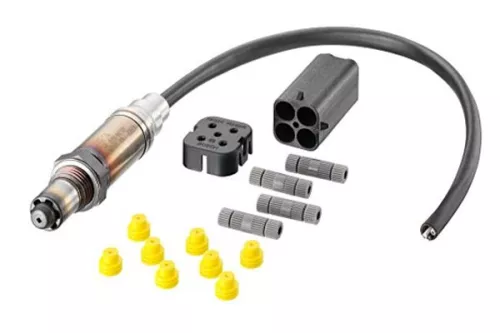 Oxygen Sensor