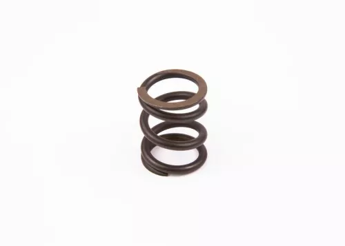 BOSCH Spring (1 424 634 043)