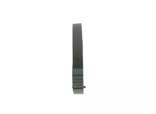 BOSCH V-Ribbed Belt (1 987 947 397)
