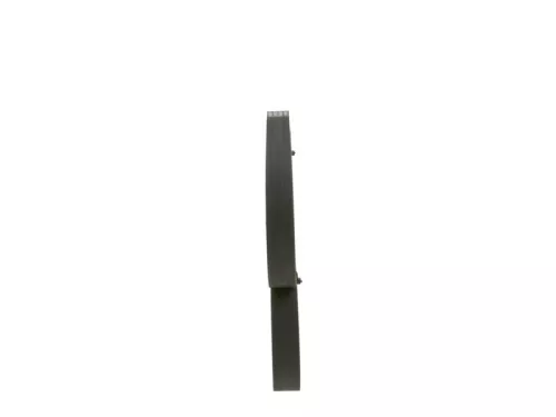 BOSCH V-Ribbed Belt (1987947547)