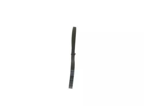BOSCH V-Ribbed Belt (1 987 947 857)