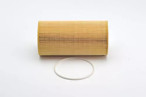 BOSCH Oil Filter (F026407045)