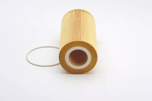 BOSCH Oil Filter (F026407045)