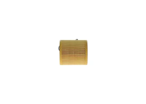 BOSCH Oil Filter (F026407175)