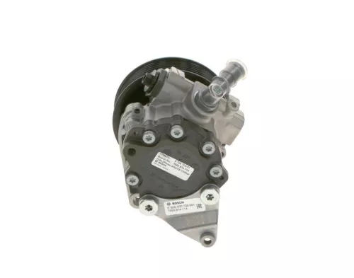 BOSCH Hydraulic Pump, steering (K S00 000 709)