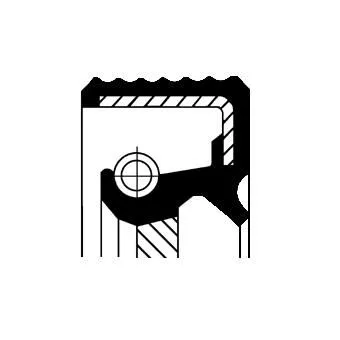 CORTECO Shaft Seal, crankshaft (12015424)
