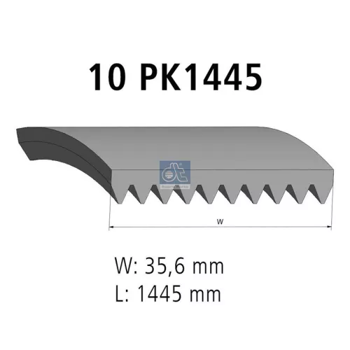 DT Spare Parts V-Ribbed Belt (2.15379)