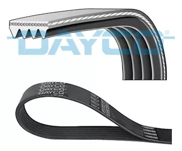 DAYCO V-Ribbed Belt (4PK788)