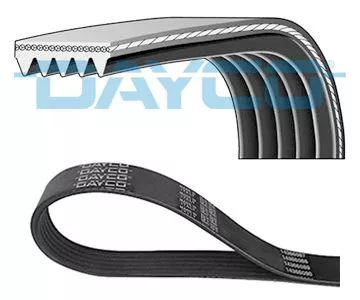 DAYCO V-Ribbed Belt (5PK1290)
