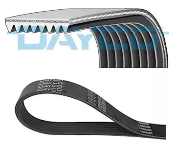 DAYCO V-Ribbed Belt (8PK2092)