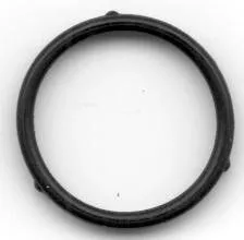 Seal Ring
