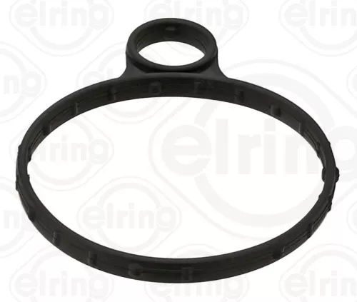 Gasket, vacuum pump