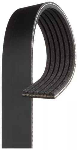 GATES V-Ribbed Belt (6PK1223XS)