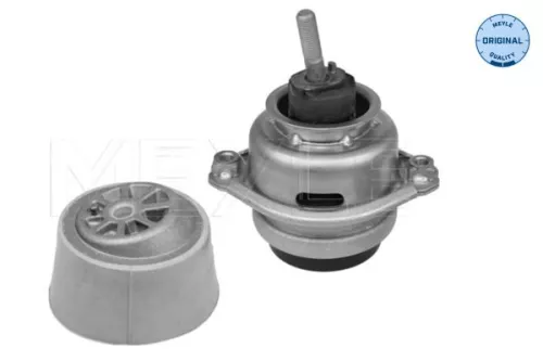 Mounting, engine