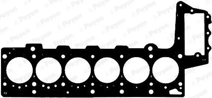 PAYEN Gasket, cylinder head (AG9010)