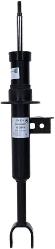 SACHS Shock Absorber (314 874)
